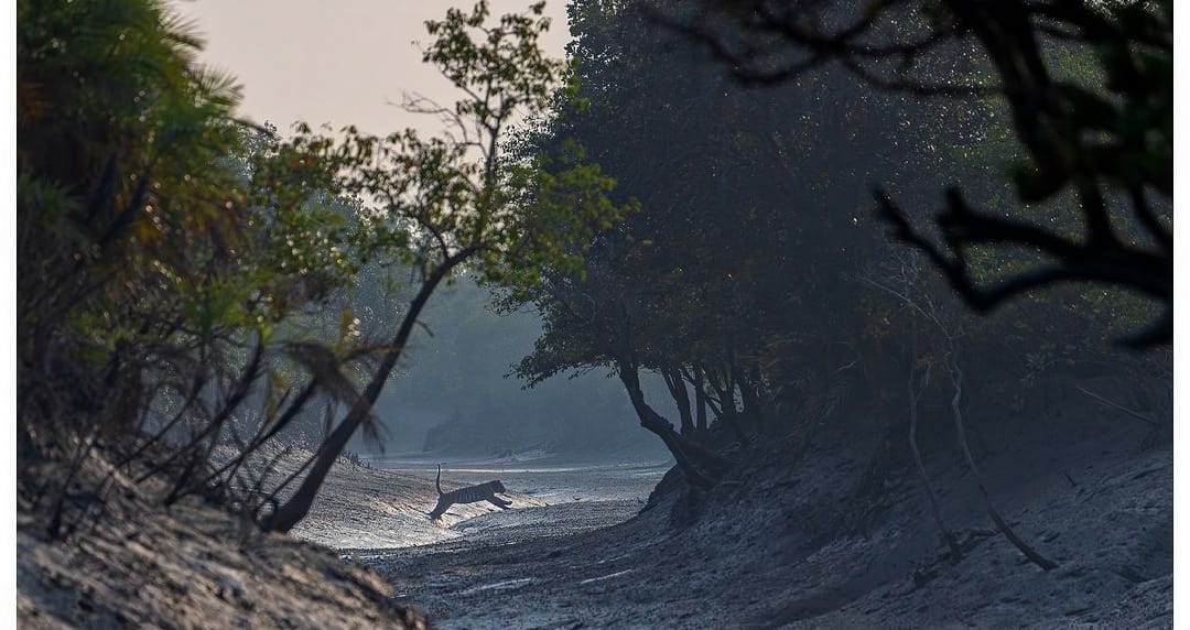 SUNDARBAN