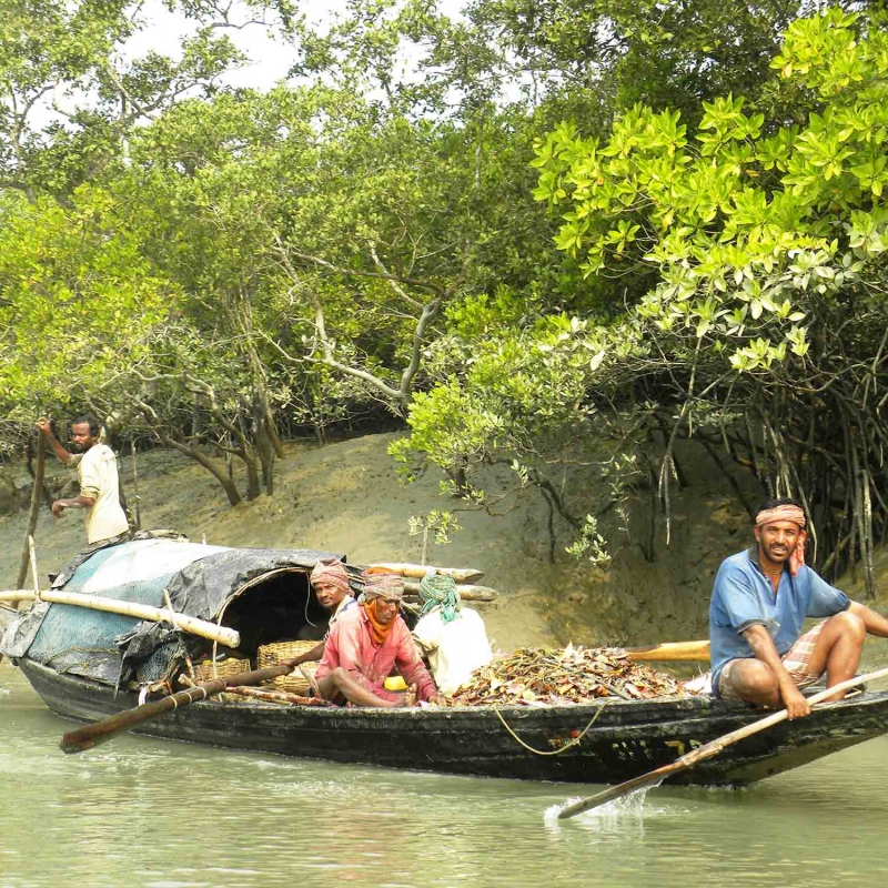 SUNDARBAN